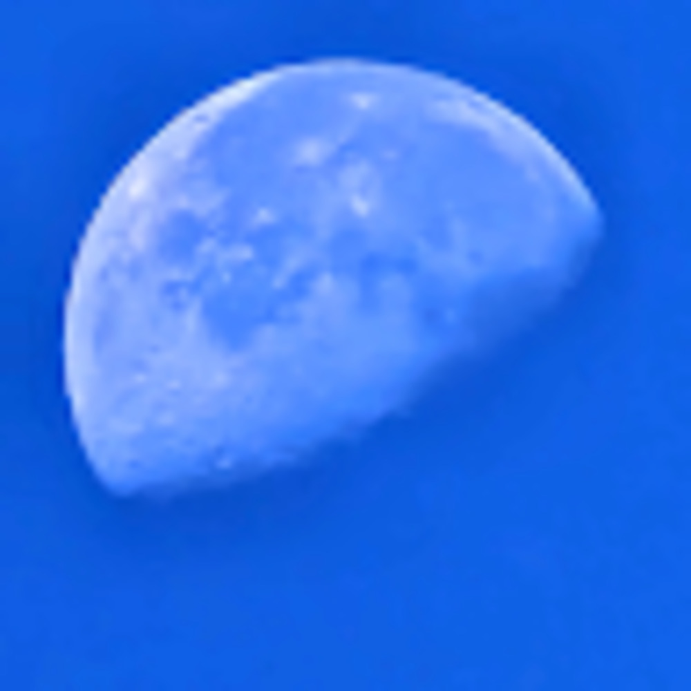 Meet your Posher, Fabian